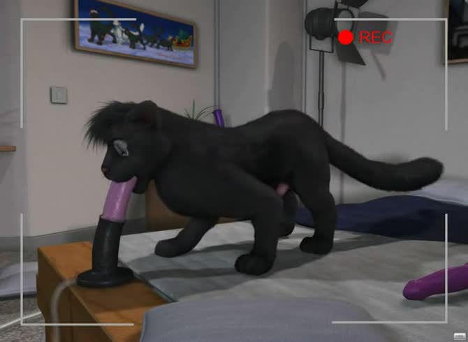 Video :Dog sucking a big dildo in animal porno